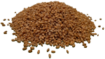 Wheat Berries